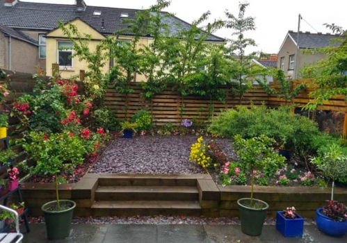 picture of Patios & Terraces and Single-Family Homes 