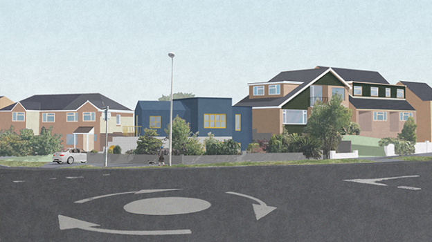 picture of Single-Family Homes and New Build 