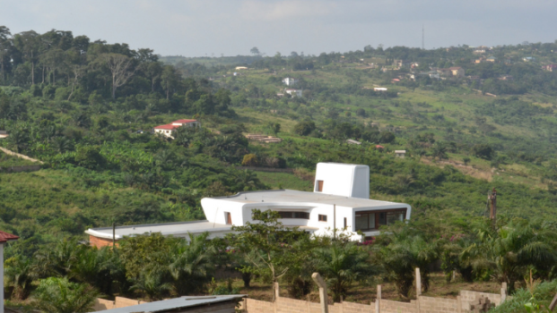 picture of Single-Family Homes and New Build 