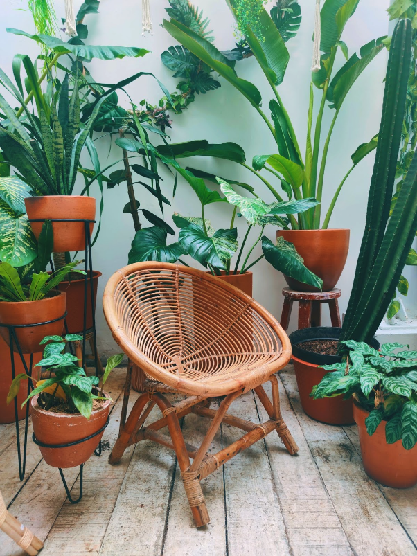 How should you design your balcony?