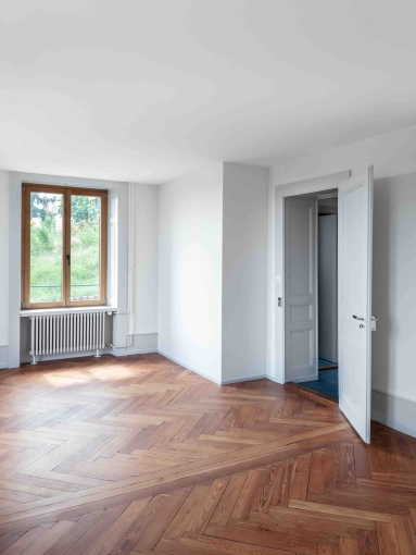 Single-Family Homes, Townhouse, Farmhouse, Flats / Apartments, Renovation