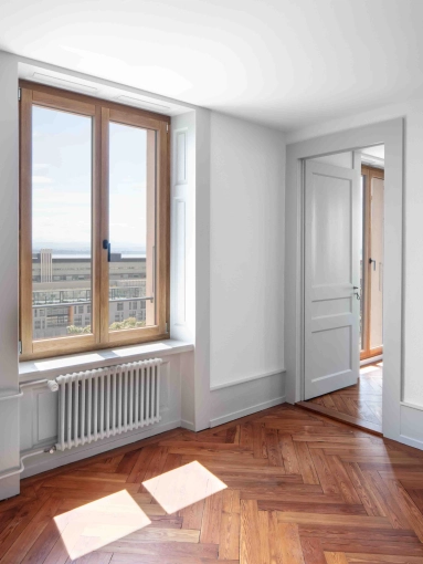 Single-Family Homes, Townhouse, Flats / Apartments, Renovation