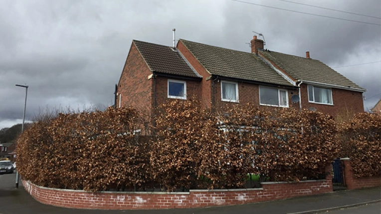 Restoration, Single-Family Homes, Renovation