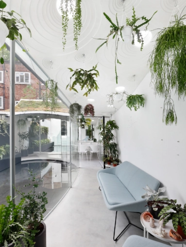 Conversion, Single-Family Homes, Passive House / Eco-friendly, Townhouse, New Build, Interior Architecture & Design, Renovation, Flats / Lofts, Futuristic, Contemporary, Modern